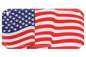 Bike Plate American Flag