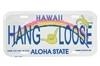 Hang Loose License Plate